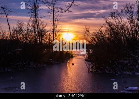 Halls Lake Michigan Wandern Stockfoto