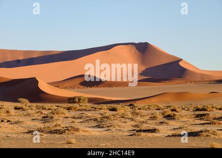 Sossuslvei und Deadvlei haben einige der höchsten Sanddünen der Welt Stockfoto