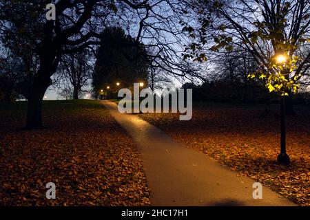 Bäume ohne Blätter, die durch einen mit beleuchteten Straßenlampen gesäumten Pfad auf Primrose Hill, London, getrennt sind Stockfoto