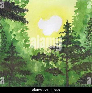 Amateur Aquarell Zeichnung des Sonnenaufgangs in einem grünen Sommerwald Stockfoto
