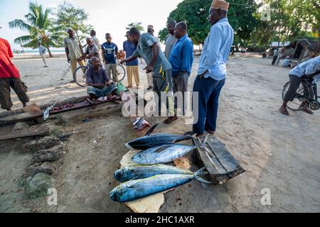 Fishermans und Soki La Smaki in Nungwi Beach Stockfoto