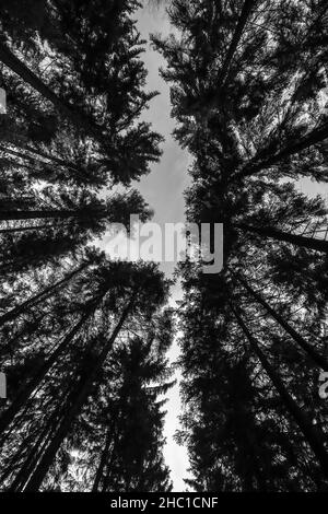Wanderung durch die Kamnitzklamm im Herbst Stockfoto