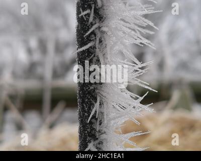 Reif auf einer dünnen schwarzen Eisenstange Stockfoto