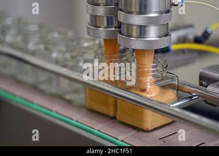 Gläser mit Rahmhonig in einer Verpackungslinie in einer kommerziellen Honigfabrik Stockfoto