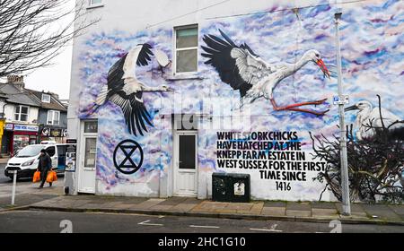 Brighton UK 23rd December 2021 - Es ist ein milder, bedeckter Tag in Brighton durch eine der berühmten Wandmalereien des Aussterbens von Brighton, die die Störche im Knepp Castle an einem milden, bedeckten Tag zeigen : Credit Simon Dack / Alamy Live News Stockfoto