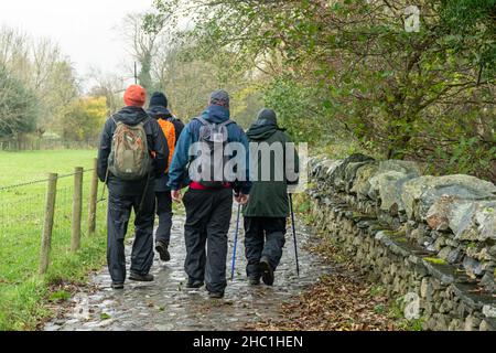 Vier männliche Wanderer wandern an einem feuchten Herbsttag in Borrowdale im Lake District National Park, Cumbria, England, Großbritannien Stockfoto