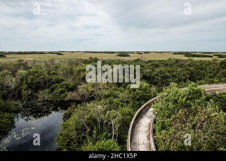 Blick von den Everglades, von der Spitze des Aussichtsturms im Shark Valley in Florida, USA Stockfoto