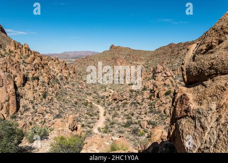 Hikeng die trockenen Grapevine Hills im Big Bend National Park in den USA Stockfoto