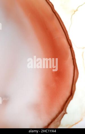 Der Texturhintergrund der Wasserfarbe in der Palette. Stockfoto