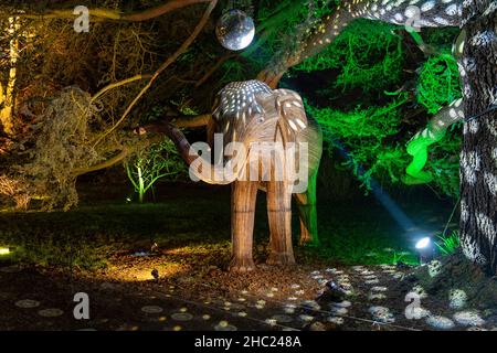 Winchcombe, Großbritannien. 22. Dezember 2021. Die Gebäude und das Gelände von Schloss Sudeley leuchten während des diesjährigen Spektakels „Spectacle of Light“ mit Farbe. Das mittlerweile sechste Jahr nach Einbruch der Dunkelheit umfasst einen beleuchteten Pfad rund um das Gelände und den Wald von Sudeley, glitzernde Wasserspielen und einen einzigartigen „Teppich aus Farbe“. Quelle: Carl Hewlett/Alamy Live News Stockfoto