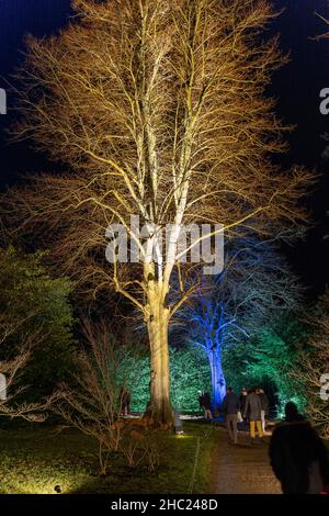 Winchcombe, Großbritannien. 22. Dezember 2021. Die Gebäude und das Gelände von Schloss Sudeley leuchten während des diesjährigen Spektakels „Spectacle of Light“ mit Farbe. Das mittlerweile sechste Jahr nach Einbruch der Dunkelheit umfasst einen beleuchteten Pfad rund um das Gelände und den Wald von Sudeley, glitzernde Wasserspielen und einen einzigartigen „Teppich aus Farbe“. Quelle: Carl Hewlett/Alamy Live News Stockfoto