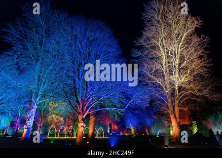 Winchcombe, Großbritannien. 22. Dezember 2021. Die Gebäude und das Gelände von Schloss Sudeley leuchten während des diesjährigen Spektakels „Spectacle of Light“ mit Farbe. Das mittlerweile sechste Jahr nach Einbruch der Dunkelheit umfasst einen beleuchteten Pfad rund um das Gelände und den Wald von Sudeley, glitzernde Wasserspielen und einen einzigartigen „Teppich aus Farbe“. Quelle: Carl Hewlett/Alamy Live News Stockfoto