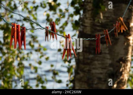 Kleidernadeln, die an einem Seil zwischen Bäumen hängen. Sommerzeit. Stockfoto