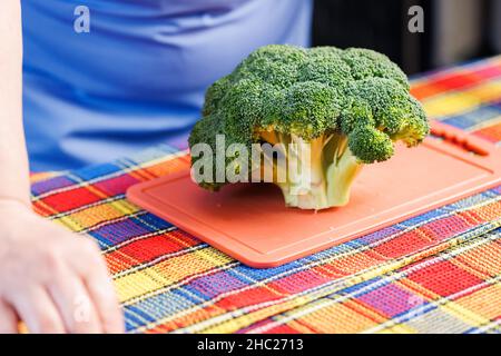 Ein Kopf aus grünem Brokkoli auf einem rosafarbenen Plastikschneidebrett und ein buntes Handtuch darunter vor einer verschwommenen kaukasischen Frau Stockfoto