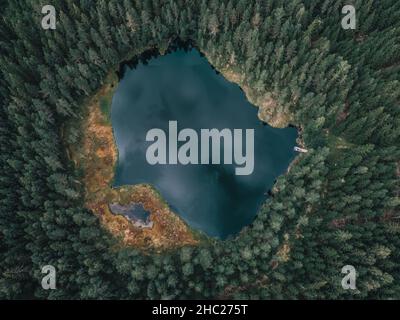 Luftaufnahme des kleinen Teiches mitten im Wald. Ein kleines Dock am Ufer. Drohnenaufnahmen Stockfoto