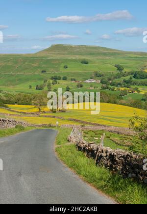 Blick auf die Landschaft in der Nähe von Countersett in Richtung Addlebrough Hill im Yorkshire Dales National Park Stockfoto