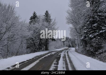 Der Norden läutete im Winter, Sainte-Apolline, Québec, Kanada Stockfoto