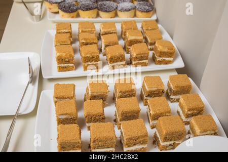 Catering. Essen außerhalb der Anlage. Buffettisch mit verschiedenen Häppchen, Sandwiches, Hamburgern und Snacks Stockfoto