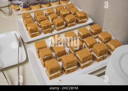 Catering. Essen außerhalb der Anlage. Buffettisch mit verschiedenen Häppchen, Sandwiches, Hamburgern und Snacks Stockfoto