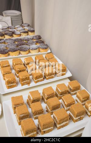 Catering. Essen außerhalb der Anlage. Buffettisch mit verschiedenen Häppchen, Sandwiches, Hamburgern und Snacks Stockfoto