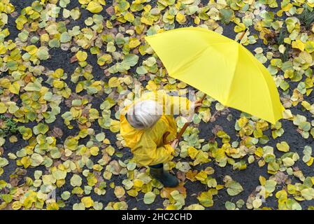Kleiner Junge faltet den Regenschirm gegen gelb gefallenen Blättern Hintergrund. Farbenfroher Herbst. Draufsicht. Stockfoto