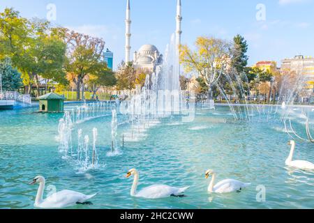 Vier Hite Schwäne schwimmen im blauen See mit Springbrunnen und Moschee im Bacground. Reisen Sie in Konya.unentdeckte Türkei. Stockfoto