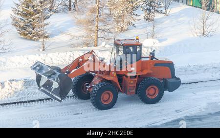 Großer orangefarbener Traktor reinigt Schnee von der Straße und lädt ihn in den LKW. Reinigung und Reinigung der Straßen in der Stadt vom Schnee im Winter Stockfoto