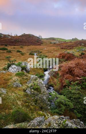 Ein Bach auf Black Fell in der Nähe der Skelwith Bridge. Stockfoto