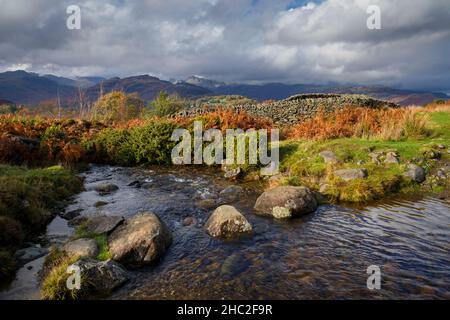 Ein Bach auf Black Fell in der Nähe der Skelwith Bridge. Stockfoto