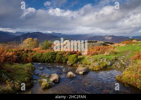 Ein Bach auf Black Fell in der Nähe der Skelwith Bridge. Stockfoto