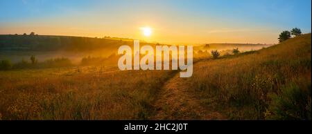 Panorama des nebligen Sonnenaufgangs über Wälder, hügelige Felder und Wiesen mit hohen Gräsern und Wildblumen Stockfoto