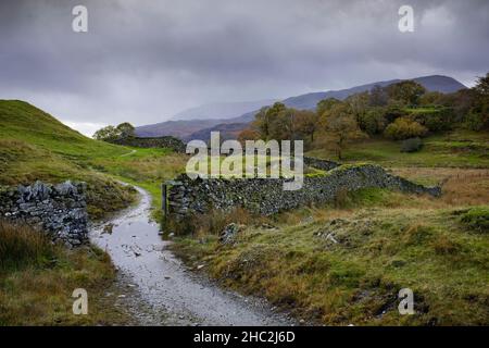 Ein Brückenweg auf Black fiel in der Nähe der Skelwith Bridge. Stockfoto