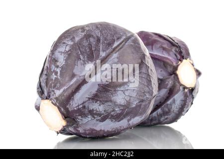Zwei organische reife Rotkohlsorten, Nahaufnahme, isoliert auf Weiß. Stockfoto