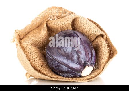 Ein organischer reifer Rotkohl in einem Jutebeutel, Nahaufnahme, isoliert auf Weiß. Stockfoto