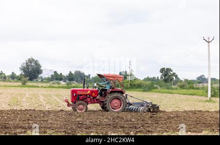 JAWAI, Rajasthan, Indien - September 2021: Indischer Landwirt erntet die neue Ernte mit Traktor im landwirtschaftlichen Bereich. Stockfoto