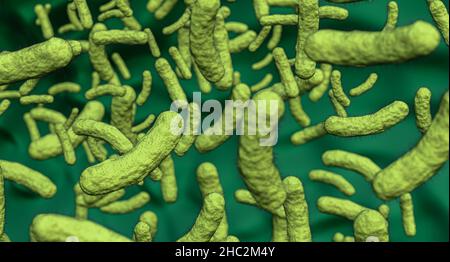 Bakterien, grünes Bakterium, Keime,3D Abbildung. Stockfoto