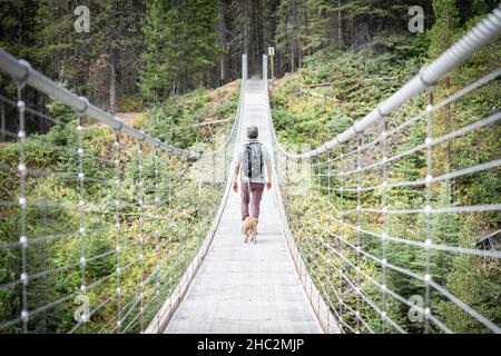 Mann beim Wandern mit Hund über eine lange Hängebrücke in den Wäldern der kanadischen Rockies, schmale Schussaufnahme Stockfoto