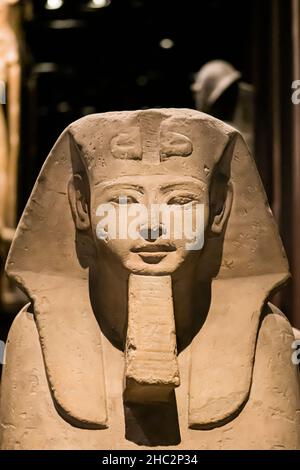 Ägyptisches Museum, Turin, Italien, Sphinx, Stein, Sandstein, Neues Königreich, neunzehnte Dynastie, vertikal Stockfoto