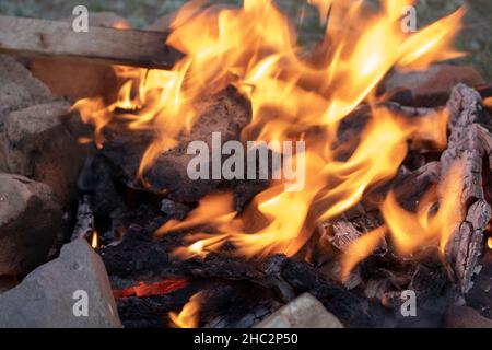 Kleines Lagerfeuer mit sanften Flammen in der Steppe. Westkasachstan Stockfoto