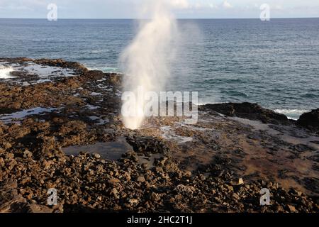 Das Blowhole des Spouting Horns, das mit einer Wasserwolke ausbricht, die 15 Fuß in die Luft in Kauai sprüht Stockfoto