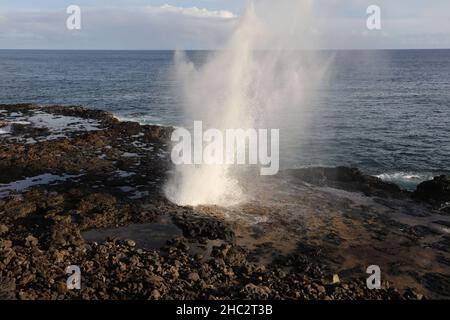 Das Blowhole des Spouting Horns, das in Kauai, Hawaii, mit Wasser ausbricht, das 15 Meter in die Luft sprüht Stockfoto