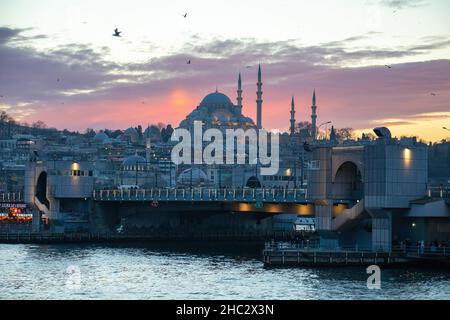 Blick auf die Suleymaniye Moschee, die von Suleiman dem Magnificent in Auftrag gegeben und vom kaiserlichen Architekten Mimar Sinan in Istanbul entworfen wurde Stockfoto
