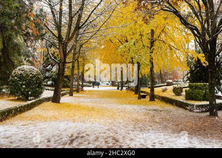 Pamplona, Spanien - 28. November 2021 - Menschen mit Sonnenschirmen spazieren durch den verschneiten Park Parque de la Taconera. Stockfoto