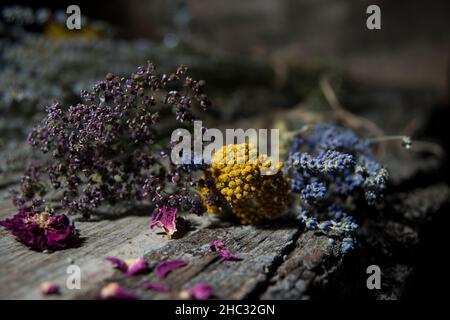 Trocknen Sie Blumen und Kräuter auf dem Holztisch. Stockfoto