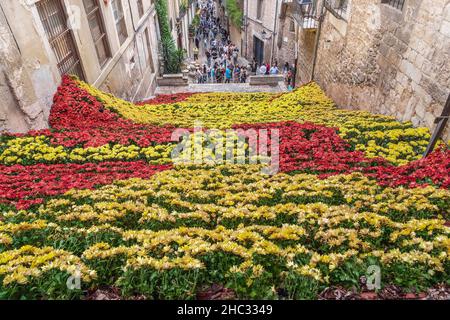 GIRONA, SPANIEN - 14. MAI 2017: Dies ist eine der Straßentreppe, die während des Blumenfestes mit Blumen geschmückt ist. Stockfoto