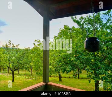 Kleines Haus Hütte Schuppen. Nette Sommerhütte in ländlichen Obstgarten. Nahaufnahme Stockfoto