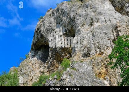 Die Pavlov-Hügel, in der Tschechischen auch Palava. Weiße Kalksteinfelsen, Blumen in Felsen. Südmähren, Tschechien, Europa Stockfoto