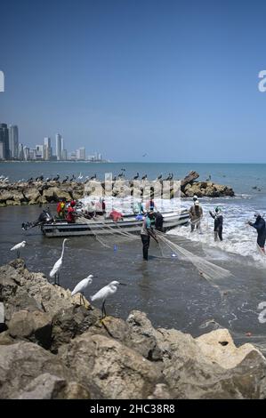 Fischer arbeiten am Strand von Bocagrande in Cartagena de Indias, Kolumbien Stockfoto