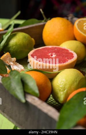 Grapefruits im Sortiment von Zitrusfrüchten Stockfoto