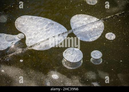 Luftblasen in Eis auf einem Teich Stockfoto